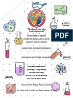 Practica 2 Quimica Organica