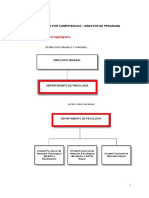 Formato Perfil Del Puesto Segundo Modelo x Competencias Director Sectorial