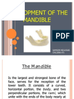 Development Mandible