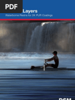 Download DSM NeoResins WB 2K Brochure by draall SN59356902 doc pdf