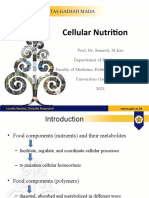 Final Celular Nutrition