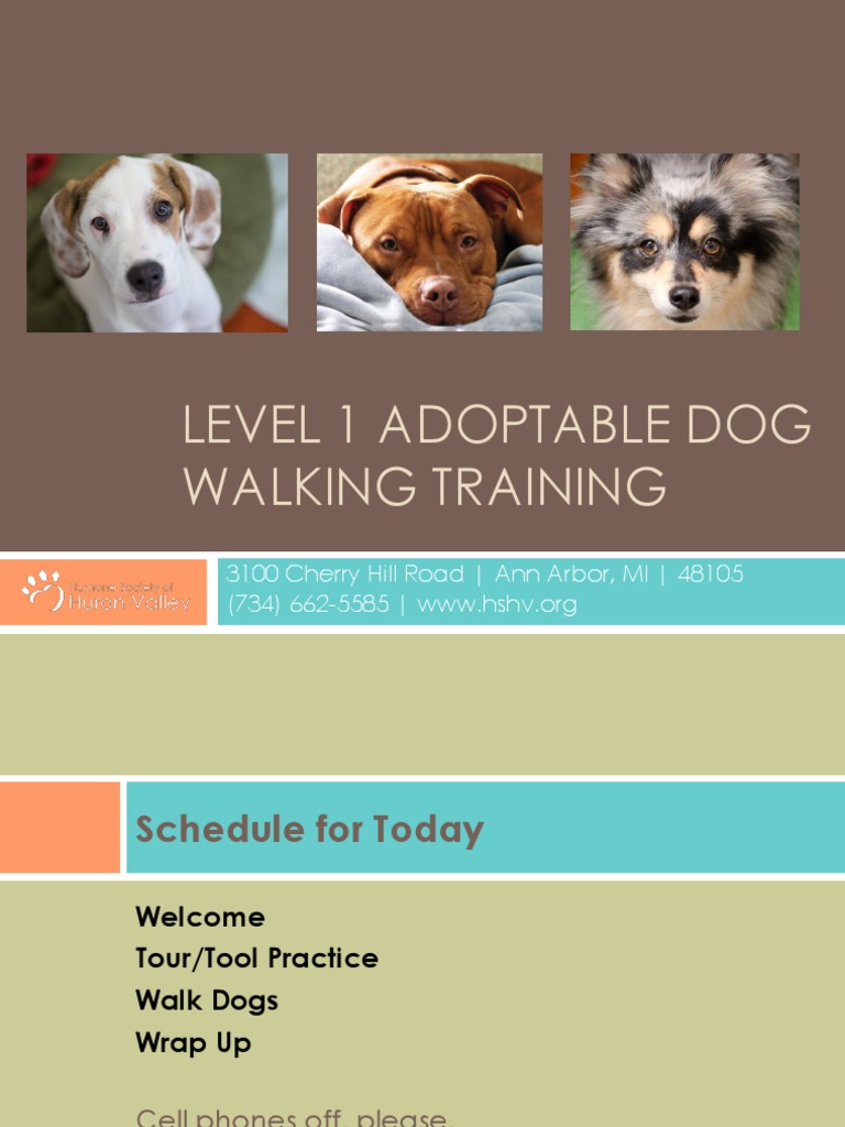 level-1-dog-walking-training-pdf-leash-dogs
