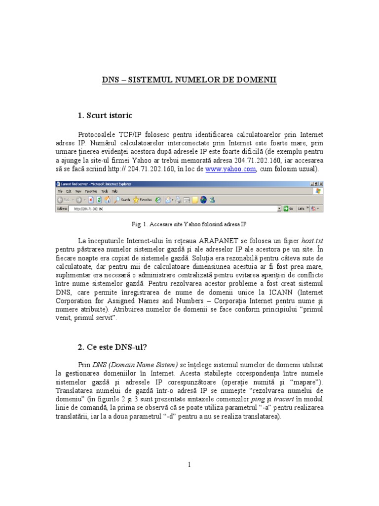 7 - DNS | PDF