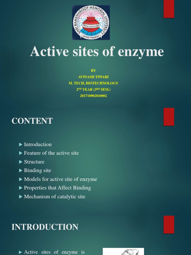 Enzyme Active Sites: Structure & Function | PDF
