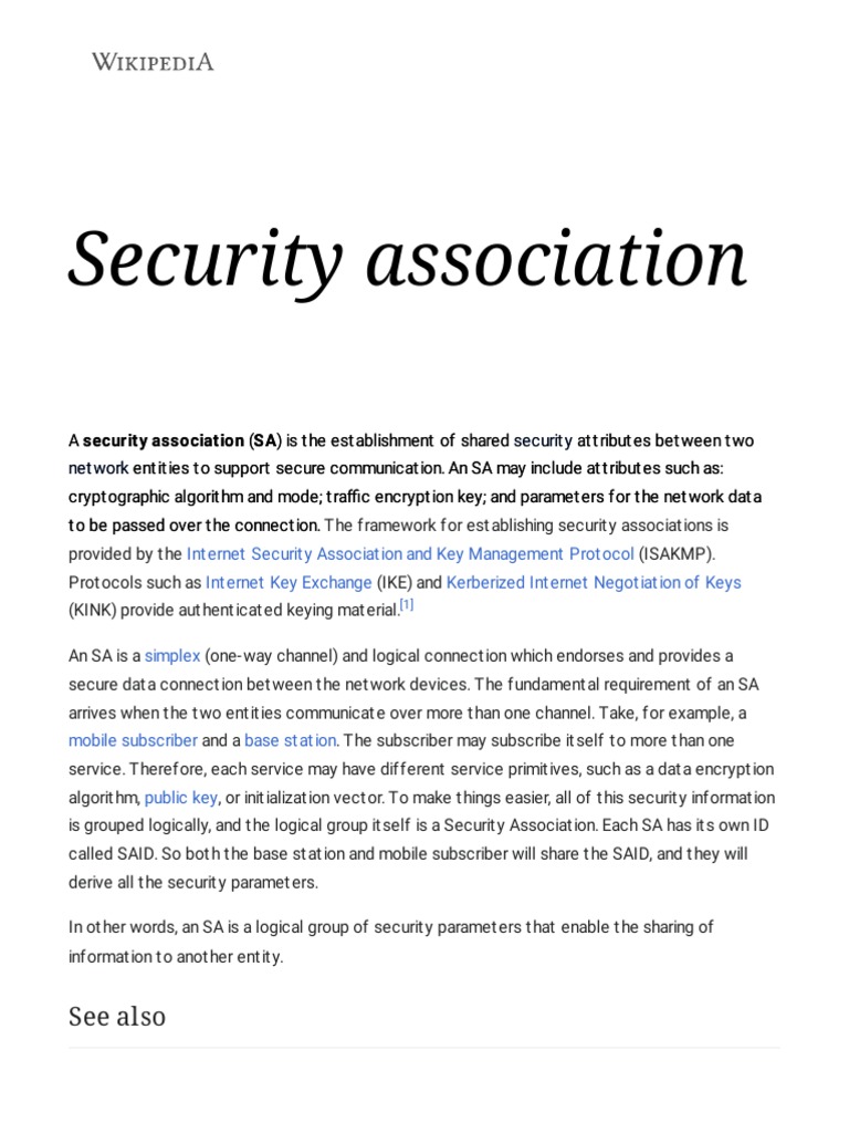 Security Association | PDF