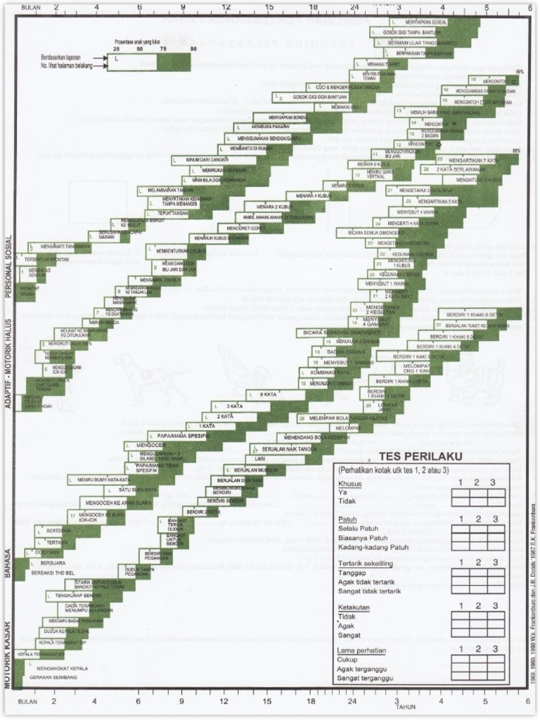 denver-ii-pdf
