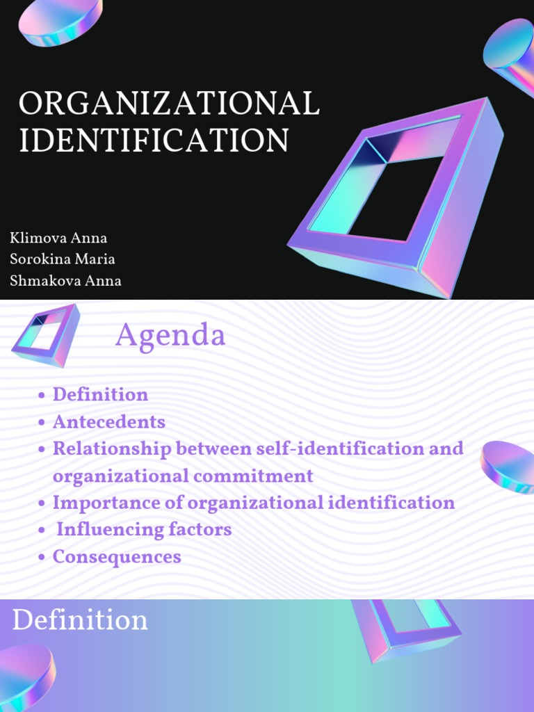 Organizational Identification | PDF