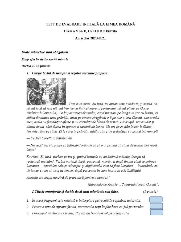 Evaluare Initiala Vi | PDF
