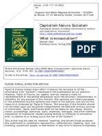 Capitalism Nature Socialism: To Cite This Article: Michael Löwy (2005) What Is Ecosocialism?, Capitalism Nature