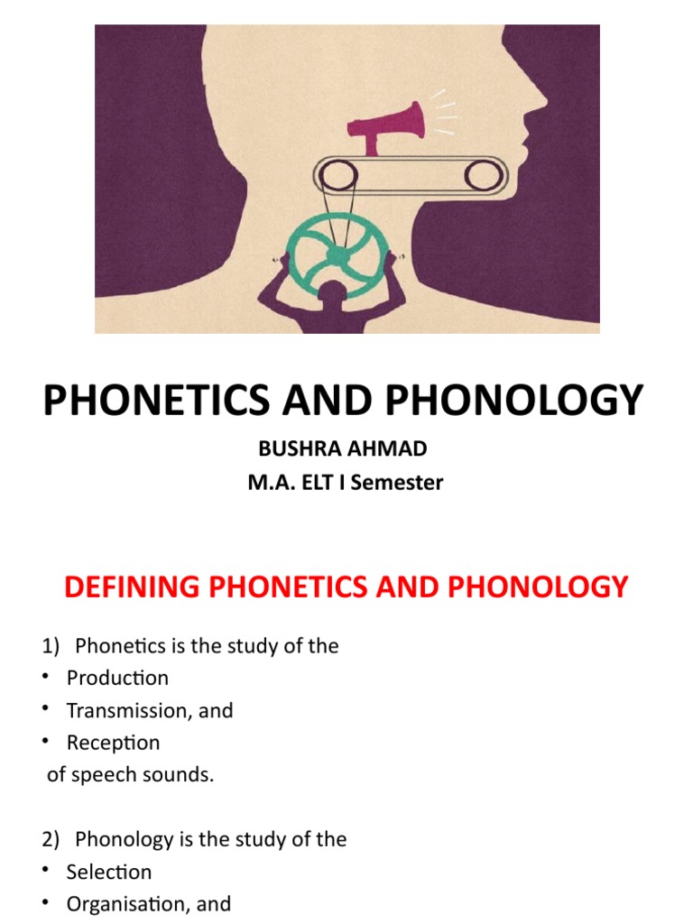 Relationship Between and Phonology PDF Phonology