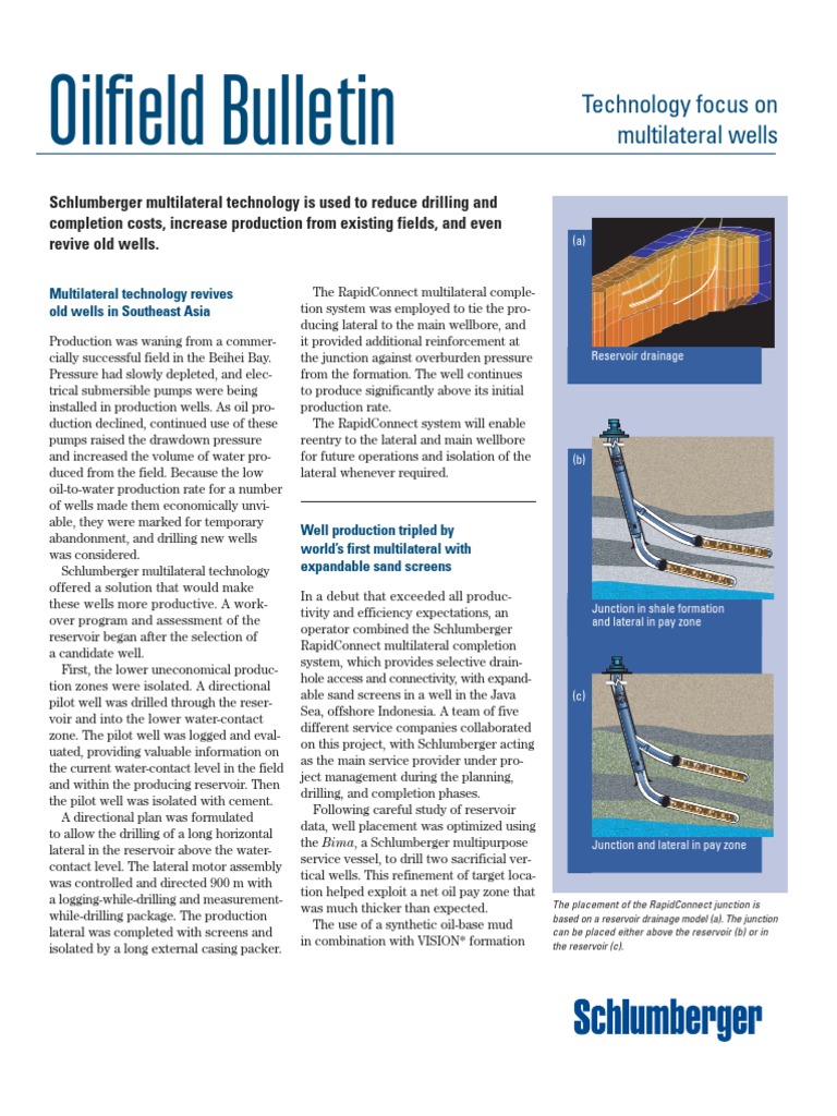 Multilateral Wells | PDF