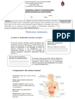 Guia 7° Barreras de Defensa