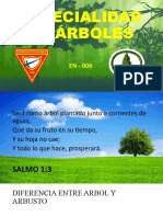 Especialidad de Árboles