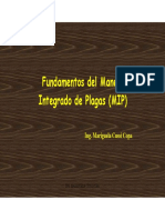 Fundamentos Mip