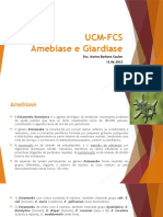 Amebiase e Giardiase: Sinais, Sintomas e Diagnóstico