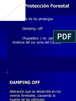 Damping - Off 2020