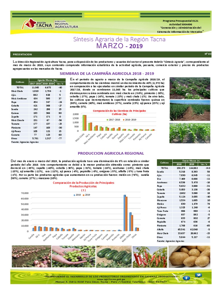Producción Agrícola en Tacna 2019 | PDF | Agricultura | Comida y bebida