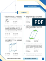 T Sem20 Geometria