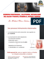 Hormona Paratiroidea Calcitonina Met. Calcio - Dr. Cadima