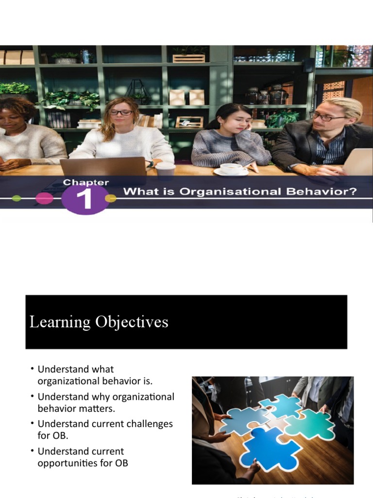 OBR250 Chapter 1 Slides | PDF | Employment | Organizational Behavior