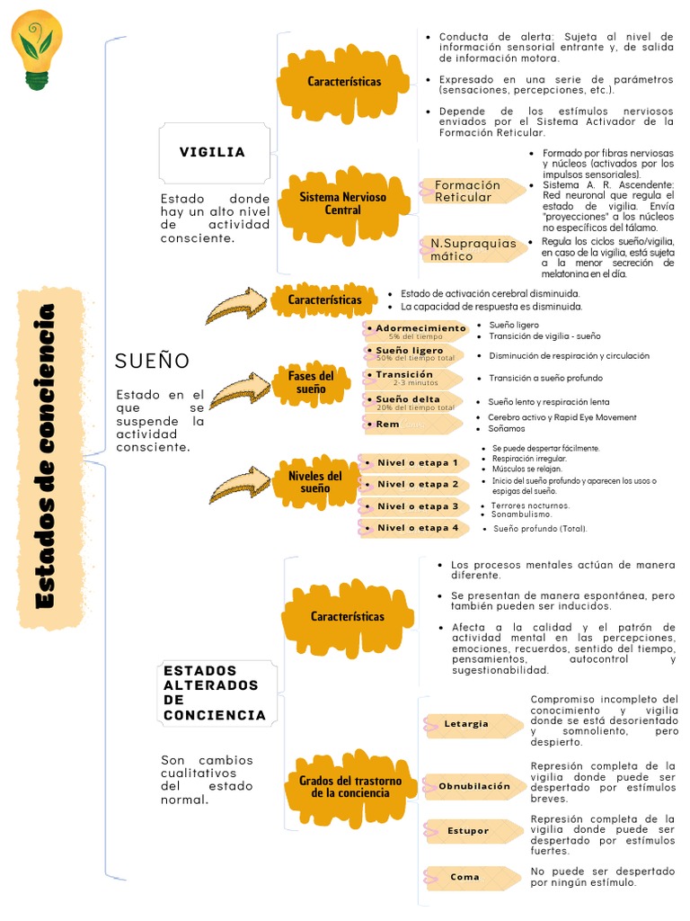 Estados Alterados de Conciencia y Sueño | PDF | Dormir | Conciencia