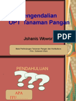 OPT PANGAN