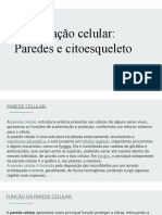 Sustentação celular_ Paredes e citoesqueleto