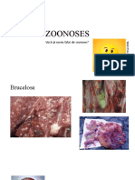 Zoonoses: doenças transmitidas