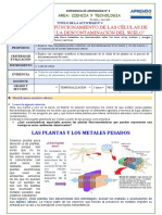 Planta descontaminación suelo