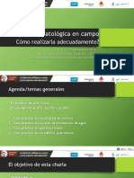 Como-Realizar-La-Inspección Patologica-En-Campo-Correctamente-Pablo-Felipe-Estrada