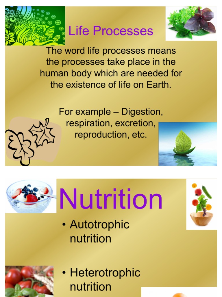 Science PPT On Life Process PDF