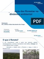 Floresta_dinamica_ambiental