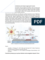 Elsa - Tutor 1 Modul 2