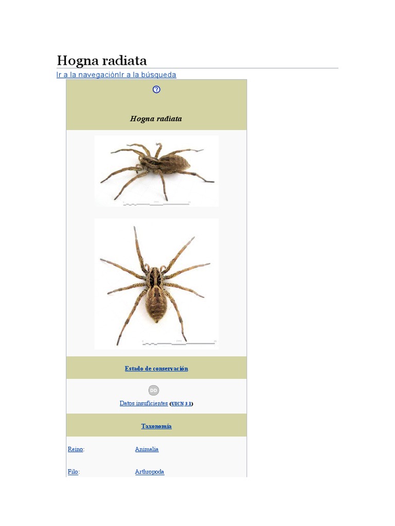 Radiata | PDF | Artrópodos | Araña