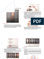 Fisiologi Sel dan Homeostasis