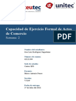 Capacidad de Ejercicio Formal de Actos de Comercio Tarea 2 - S2