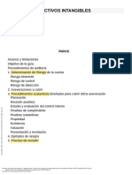 Guías de Auditoría - (ACTIVOS INTANGIBLES)