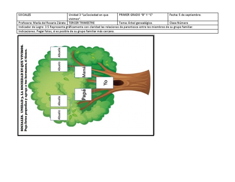 Árbol Genealógico para Primer Grado | PDF