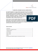 El Gas Esquisto - Exploracion, Reservas y Principales Desafios Ed Coordinador - v2