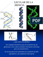 Base Molecular de La Herencia