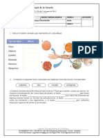 EVALUACIÓN 2