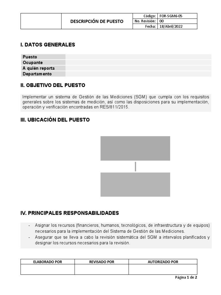 Descripción del Puesto: SGM Implementador | PDF