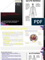 Coordinación Neviosa en El Cuerpo Humano