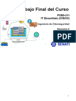 PCBD - PCBD-211 - TRABAJOFINAL Avance
