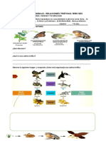 Ficha de Trabajo Relaciones Tróficas 1ro Sec A-B 07-O9