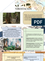 La Deforestacion CC - Ss.