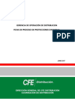 Ficha Proceso de Protecciones Divisional