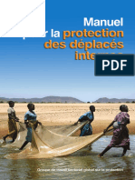 Manuel Pour La Protection Des Deplaces Internes