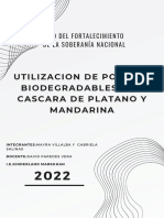 Utilizacion de Popotes Biodegradables Con Cascara de Platano y Mandarina