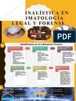Criminalística en Estomatología Legal y Forense